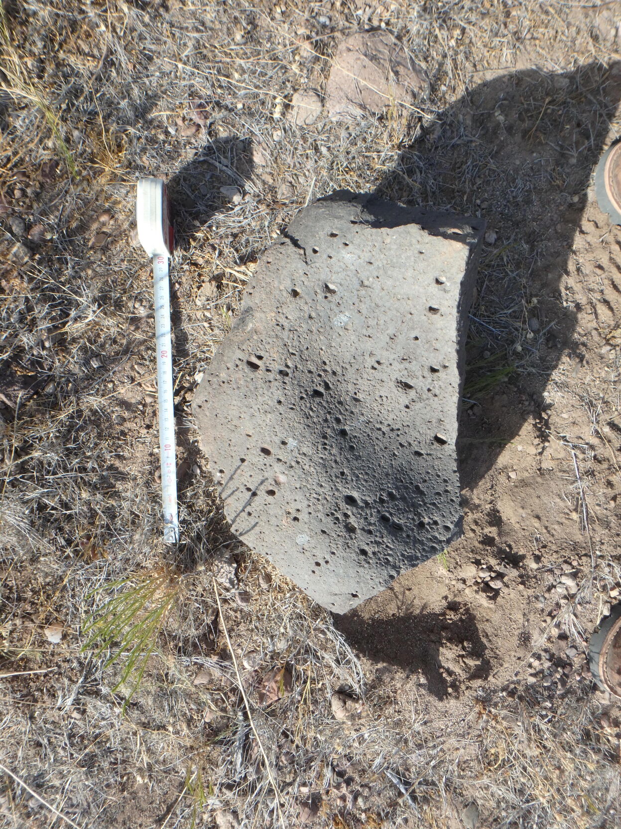 P6182216 copy.jpg